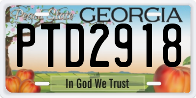 GA license plate PTD2918