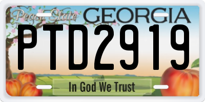 GA license plate PTD2919