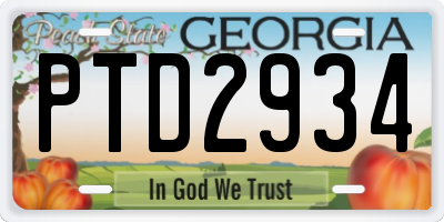 GA license plate PTD2934