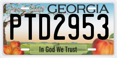 GA license plate PTD2953
