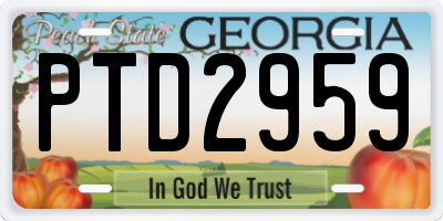 GA license plate PTD2959