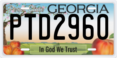 GA license plate PTD2960