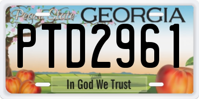 GA license plate PTD2961