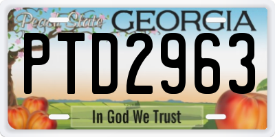 GA license plate PTD2963