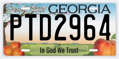 GA license plate PTD2964