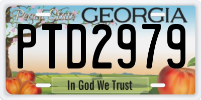 GA license plate PTD2979