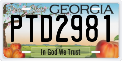 GA license plate PTD2981