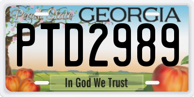 GA license plate PTD2989
