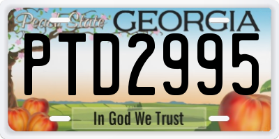 GA license plate PTD2995