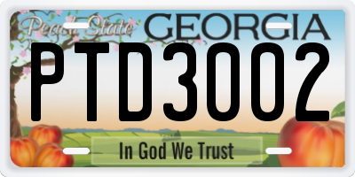 GA license plate PTD3002