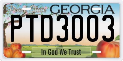 GA license plate PTD3003