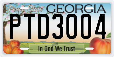 GA license plate PTD3004