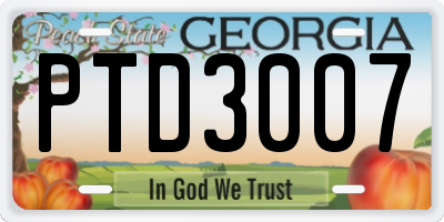 GA license plate PTD3007