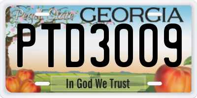 GA license plate PTD3009