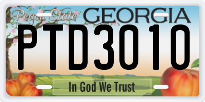 GA license plate PTD3010