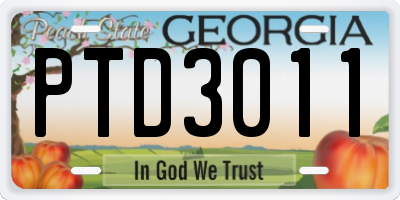 GA license plate PTD3011