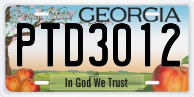 GA license plate PTD3012