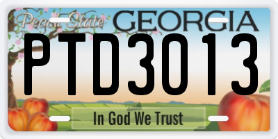 GA license plate PTD3013