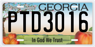 GA license plate PTD3016