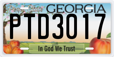 GA license plate PTD3017