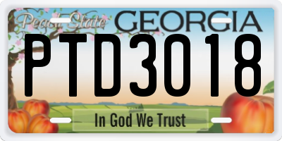 GA license plate PTD3018