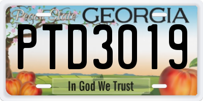 GA license plate PTD3019