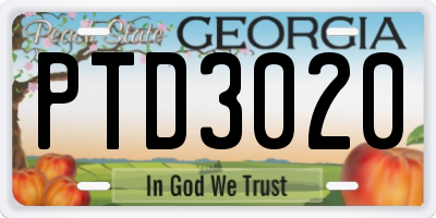 GA license plate PTD3020