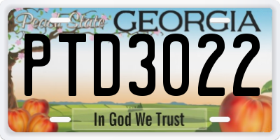 GA license plate PTD3022