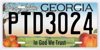 GA license plate PTD3024
