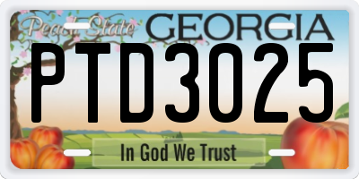 GA license plate PTD3025