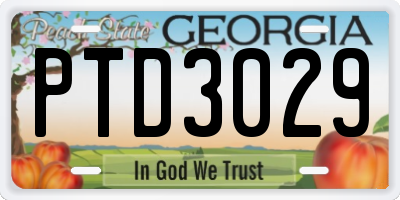 GA license plate PTD3029