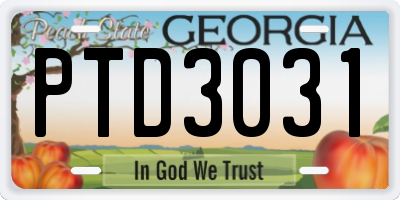 GA license plate PTD3031