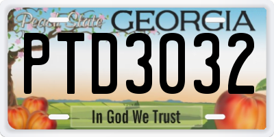 GA license plate PTD3032