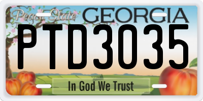 GA license plate PTD3035