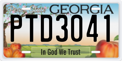 GA license plate PTD3041