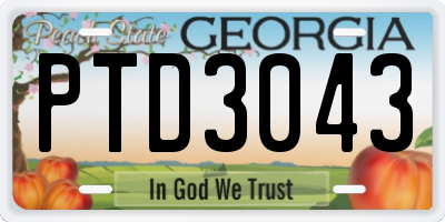 GA license plate PTD3043