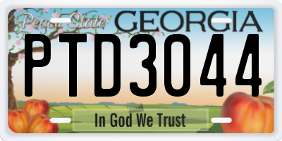 GA license plate PTD3044