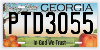GA license plate PTD3055