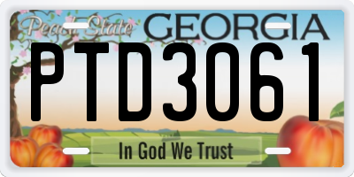 GA license plate PTD3061