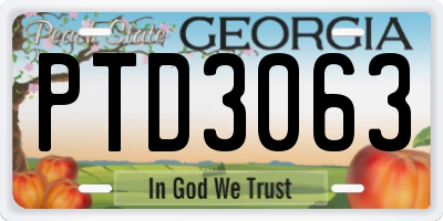 GA license plate PTD3063