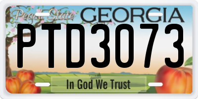 GA license plate PTD3073
