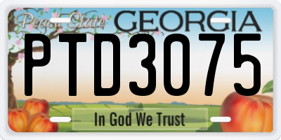 GA license plate PTD3075