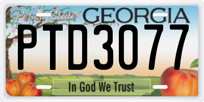 GA license plate PTD3077