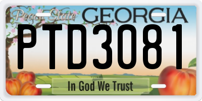 GA license plate PTD3081
