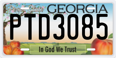 GA license plate PTD3085