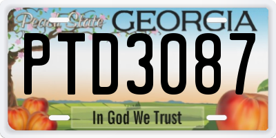 GA license plate PTD3087