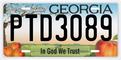 GA license plate PTD3089