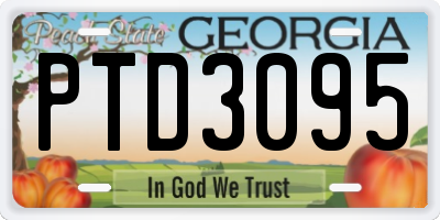 GA license plate PTD3095