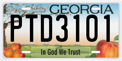 GA license plate PTD3101