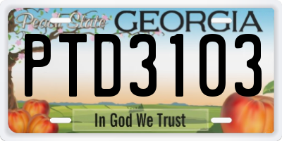 GA license plate PTD3103